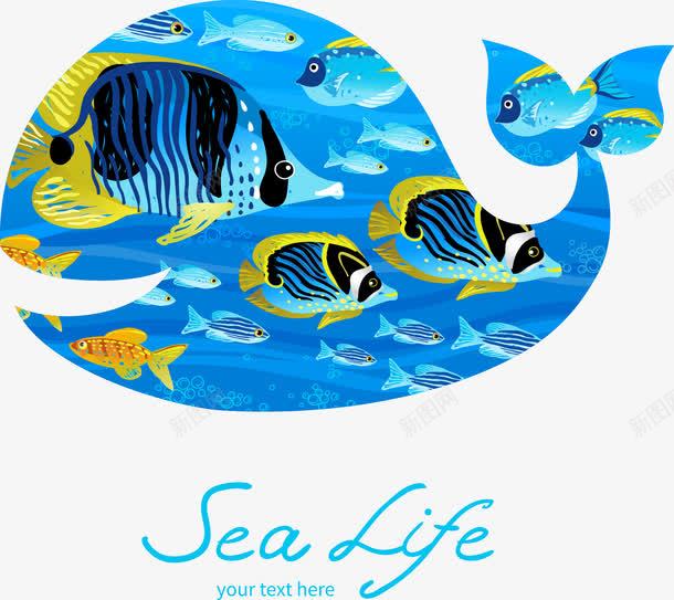海洋鱼png免抠素材_新图网 https://ixintu.com 小丑鱼 深海 矢量素材 蓝色