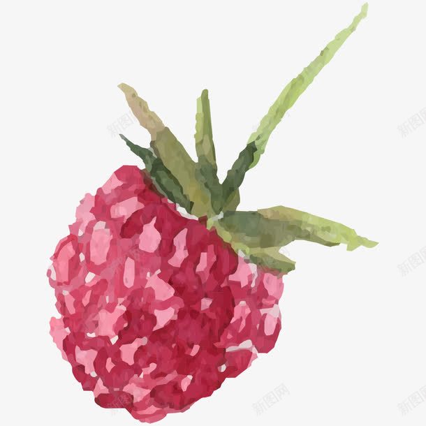手绘水彩树莓png免抠素材_新图网 https://ixintu.com 手绘 树莓 水彩 水彩水果 水果