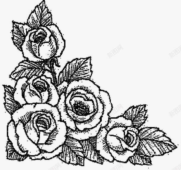 五朵玫瑰花素描画png免抠素材_新图网 https://ixintu.com 玫瑰 玫瑰纹身 玫瑰花 素描 花朵 鲜花 黑白