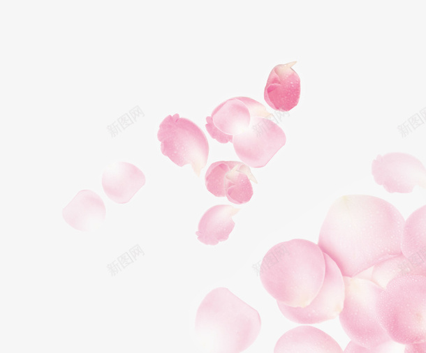 花瓣花装饰淘宝花朵png免抠素材_新图网 https://ixintu.com 花瓣花装饰淘宝素材花朵粉色 花瓣花装饰淘宝素材花朵粉色免费下载