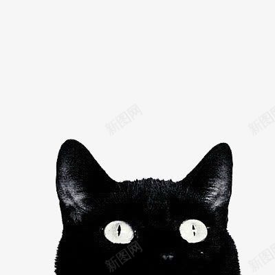 黑猫png免抠素材_新图网 https://ixintu.com 猫 眼睛 黑猫