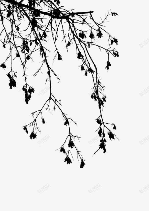 树枝水墨画中国画png免抠素材_新图网 https://ixintu.com 中国画 树枝 水墨画