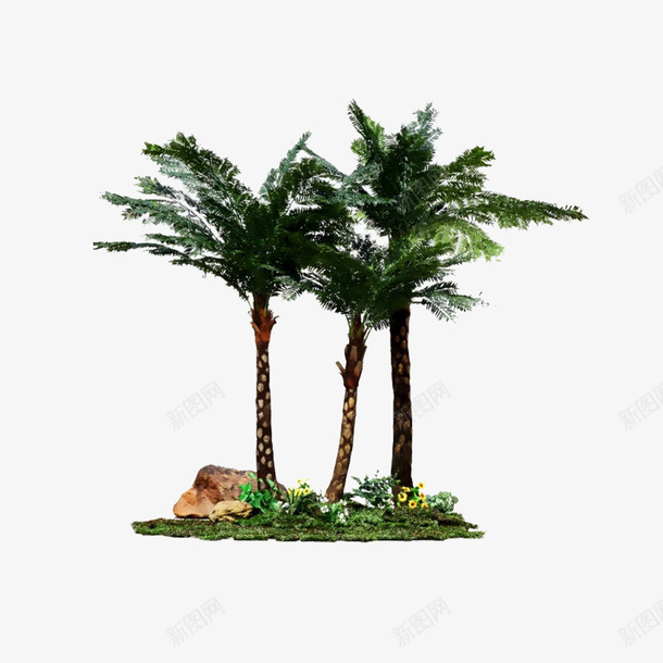 人造绿色蕨类植物png免抠素材_新图网 https://ixintu.com 人造 绿色 蕨类 观赏