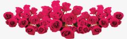粉色梦幻玫瑰花装饰素材