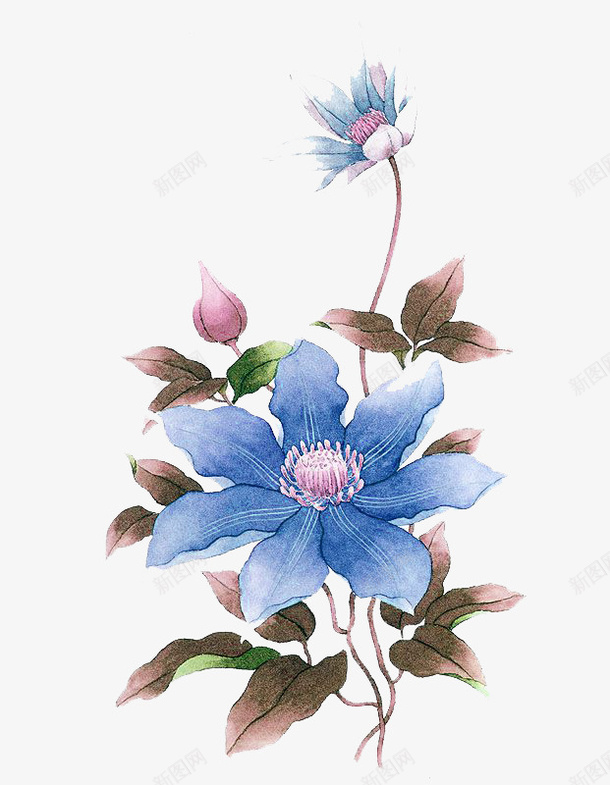 水彩鲜花png免抠素材_新图网 https://ixintu.com 卡通 手绘 水彩 蓝色 鲜花