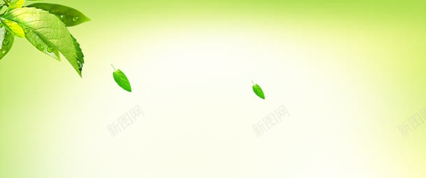 绿色背景jpg背景图_新图网 https://ixintu.com 绿色 背景
