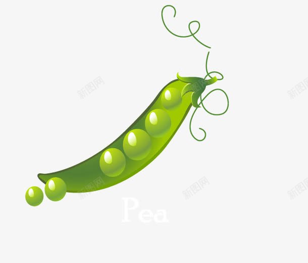 手绘豌豆角png免抠素材_新图网 https://ixintu.com 手绘蔬菜 绿色蔬菜 豌豆角