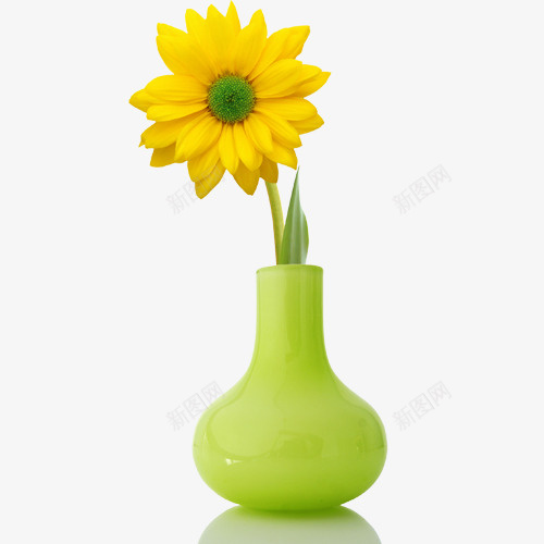 精美花瓶psd免抠素材_新图网 https://ixintu.com 精美 花朵 花瓶