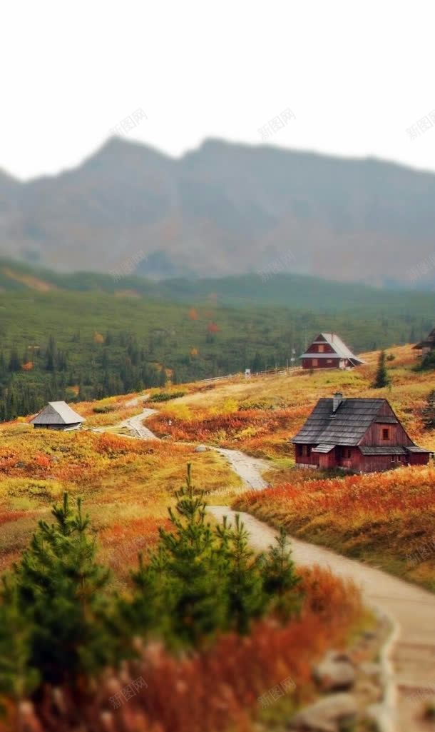 远处的庄户人家大屏jpg设计背景_新图网 https://ixintu.com 人家 庄户 远处