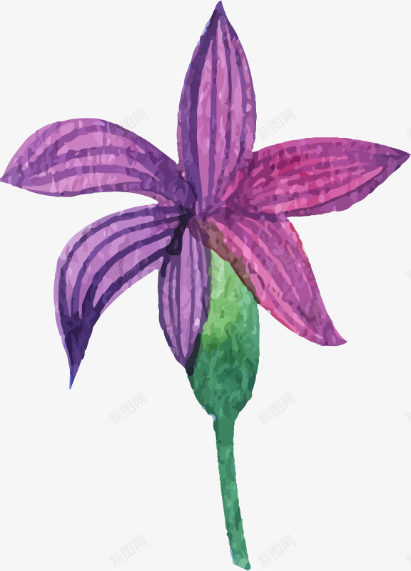 手绘紫色花朵png免抠素材_新图网 https://ixintu.com 卡通 可爱 手工 手绘 春季 水彩 水彩画 水彩花卉 自然 花 花卉 花卉装饰 装饰 装饰品 观赏