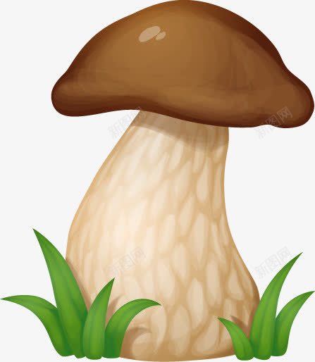 卡通清新精美蘑菇png免抠素材_新图网 https://ixintu.com 卡通 清新 精美 蘑菇