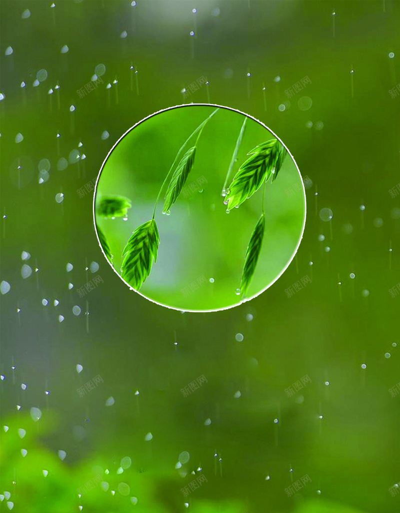 谷雨季节宜人psd设计背景_新图网 https://ixintu.com 卡通 季节 小清新 开心 文艺 时光 浪漫 简约 谷雨 颜色 风景