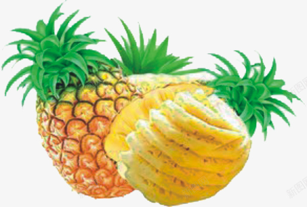金色菠萝png免抠素材_新图网 https://ixintu.com 不带皮菠萝素材 带皮菠萝素材 水果 水果免抠素材 菠萝