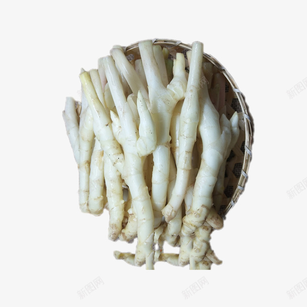 一碟仔姜png免抠素材_新图网 https://ixintu.com 仔姜设计 养生茶 姜茶 姜茶广告 姜茶海报 桂皮茶 生姜 生姜桂皮茶 生姜红茶