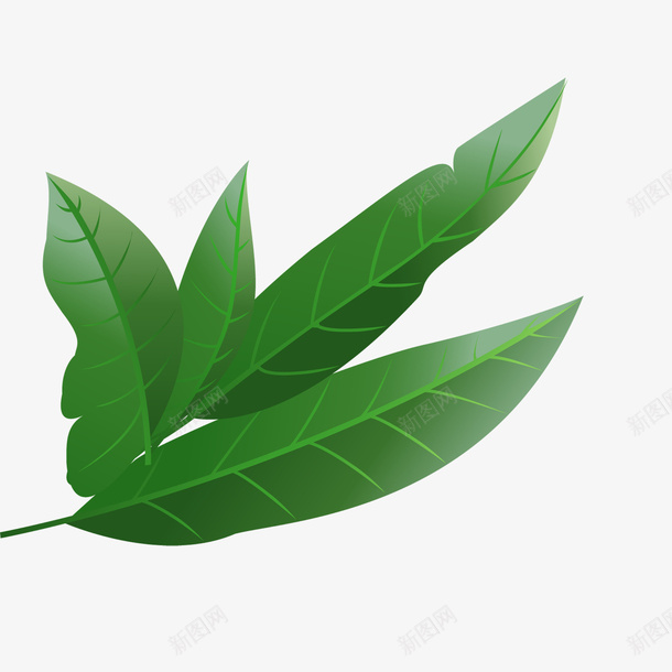 绿色的树叶png免抠素材_新图网 https://ixintu.com 手绘 树叶 绿色 长形