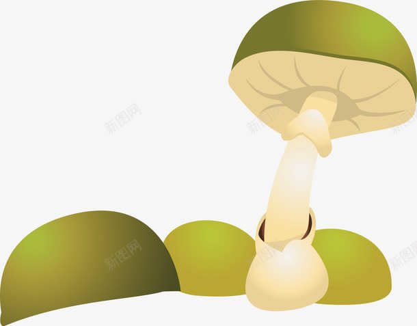 绿色蘑菇png免抠素材_新图网 https://ixintu.com 新鲜的 新鲜香菇 绿色 食材 香菇 鲜香菇 鲜香菇豆腐汤
