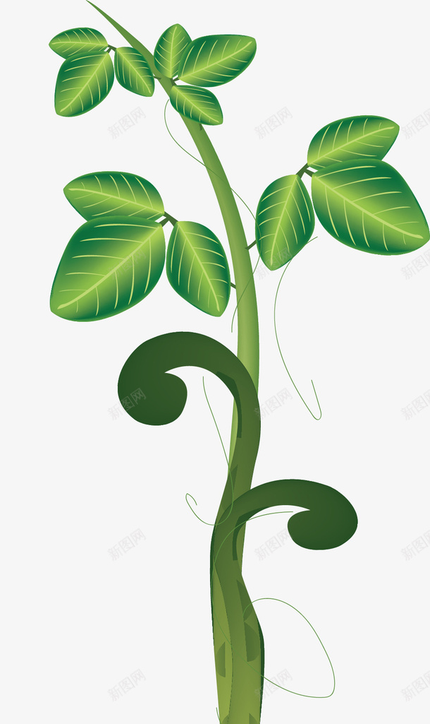 绿色反光豆茎png免抠素材_新图网 https://ixintu.com 卡通豆茎 反光 植物 生长 生长的豆茎 矢量豆茎 绿色豆茎