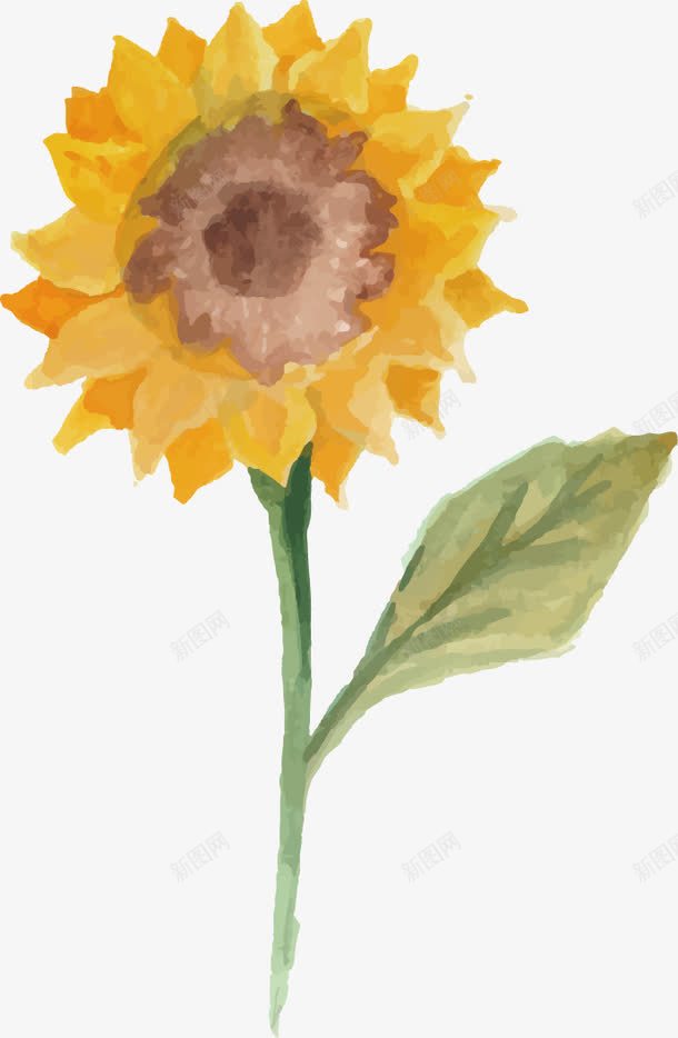 手绘水彩向日葵png免抠素材_新图网 https://ixintu.com 向日葵 手绘 插画 水彩