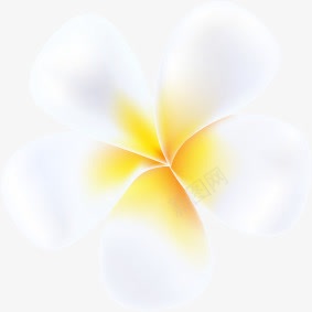 白色唯美花朵装饰美景png免抠素材_新图网 https://ixintu.com 白色 美景 花朵 装饰