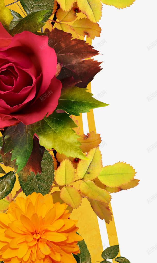 合成修饰花朵png免抠素材_新图网 https://ixintu.com 修饰花朵 叶子 合成花朵 枯叶 花瓣 鲜花