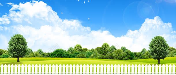 绿色背景jpg背景图_新图网 https://ixintu.com 绿色 树木 摄影