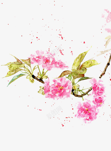 水彩粉色花卉元素png免抠素材_新图网 https://ixintu.com 元素 水彩 水彩粉色花卉元素 粉色 花卉