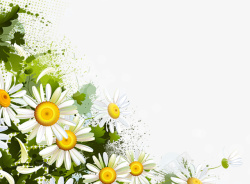 白色小清新鲜花背景图素材