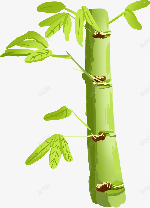 可爱竹叶png免抠素材_新图网 https://ixintu.com 元素 免扣 竹子 简笔画 素材 艺术