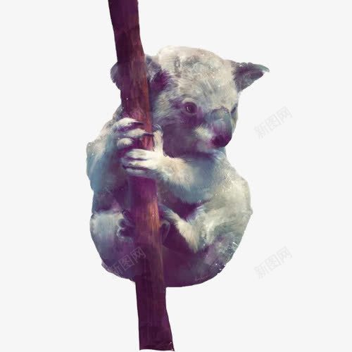考拉水彩画片png免抠素材_新图网 https://ixintu.com 手绘动物 澳大利亚 爬树 考拉 色彩画 蓝紫色