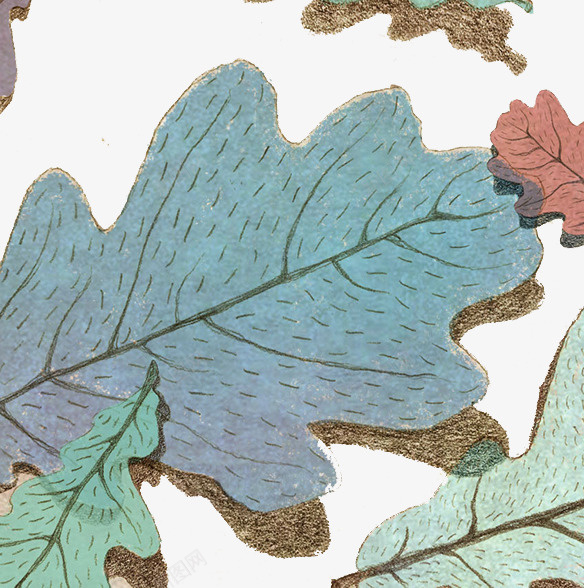 创意手绘叶子png免抠素材_新图网 https://ixintu.com 创意手绘叶子素材 彩绘植物素材 手绘效果植物 绿色植物背景