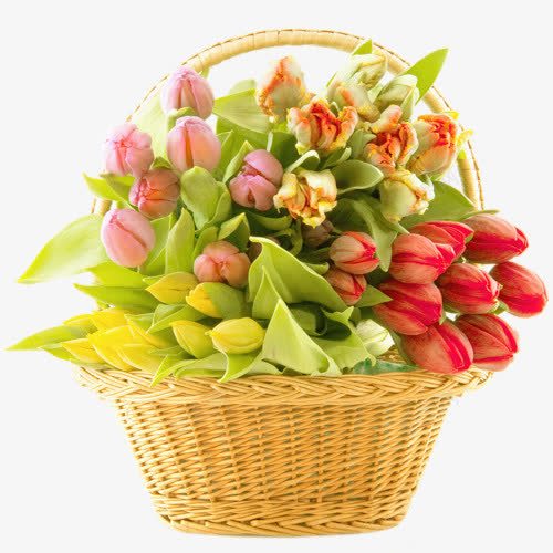 花篮png免抠素材_新图网 https://ixintu.com 手工艺 竹篮 竹编 篮子