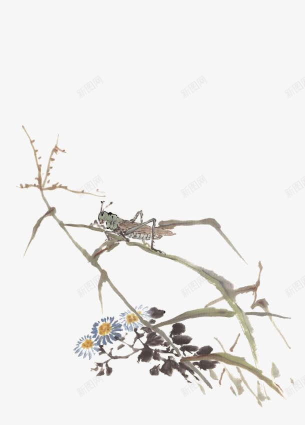 野草上的蚱蜢png免抠素材_新图网 https://ixintu.com 中国风 手绘 昆仲 水彩画 蚱蜢 野花 野草