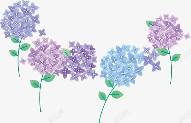 手绘清新紫色花朵矢量图ai免抠素材_新图网 https://ixintu.com 唯美 手绘 清新 紫色 花卉 花朵 花草 装饰 矢量图