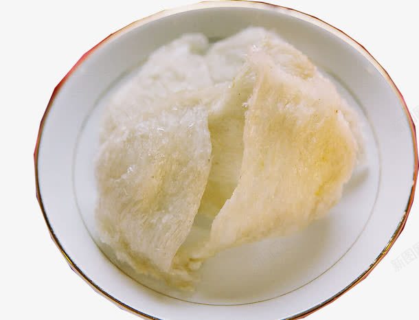 雪蛤png免抠素材_新图网 https://ixintu.com 动物人参 药材 蛤蟆油 补品