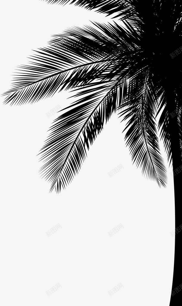 手绘绘画黑色椰子树png免抠素材_新图网 https://ixintu.com 椰子树 绘画 黑色