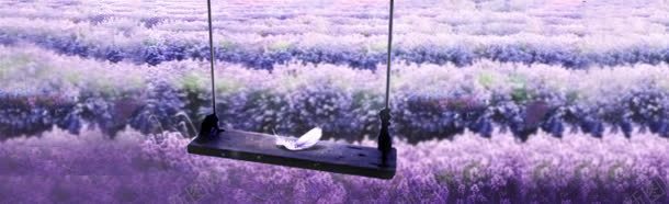 紫色薰衣草虚化背景bannerjpg设计背景_新图网 https://ixintu.com banner 紫色 背景 薰衣草 虚化