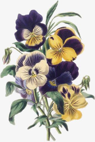 手绘花剪影手绘花精美蓝色png免抠素材_新图网 https://ixintu.com 卡通素材 卡通花饰图案 卡通花饰素材 精美 花束 花矢量图 蓝色