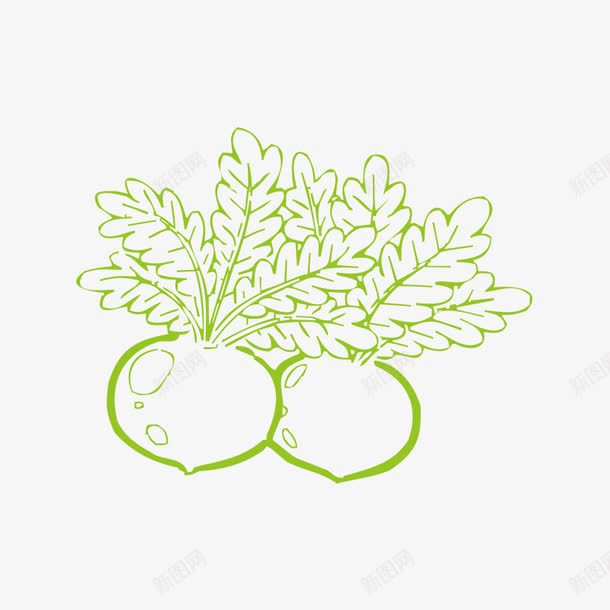 萝卜png免抠素材_新图网 https://ixintu.com 卡通萝卜 白萝卜 绿色食品 萝卜 蔬菜 食物