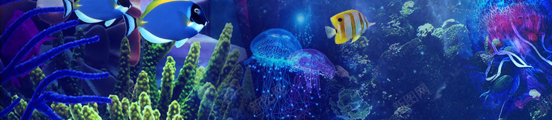 唯美海底世界水族馆宣传海报psdpsd设计背景_新图网 https://ixintu.com psd 唯美 宣传海报 水族馆 海底世界 珊瑚 鱼群 鲸鱼