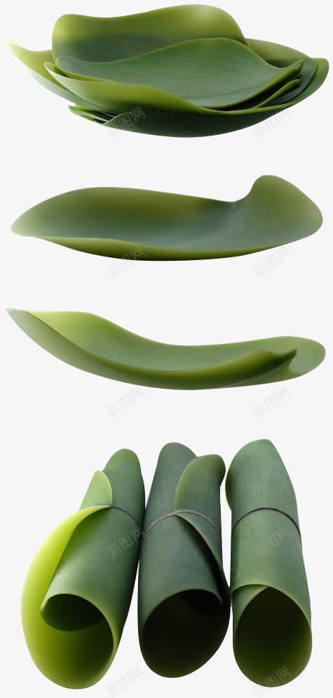 质感绿色的草本植物粽叶png免抠素材_新图网 https://ixintu.com 绿色 草本植物 质感