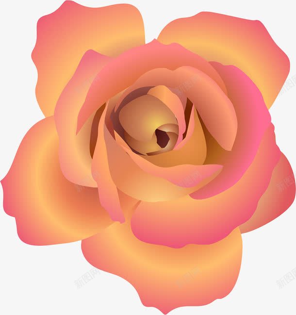 手绘玫瑰花插画png免抠素材_新图网 https://ixintu.com 手绘 玫瑰 粉色 花朵 花瓣 鲜花