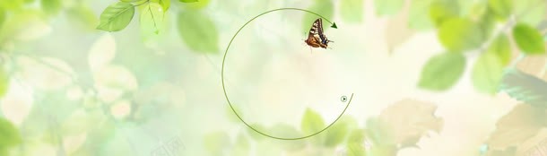 绿色叶子蝴蝶背景jpg设计背景_新图网 https://ixintu.com 叶子 绿色 蝴蝶