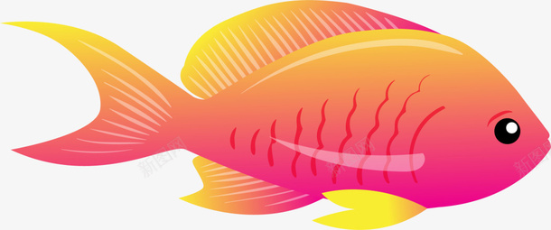 海洋生物渐变多彩小鱼png免抠素材_新图网 https://ixintu.com 多彩小鱼 海洋生物 深海鱼 渐变小鱼 漂亮小鱼 美丽小鱼
