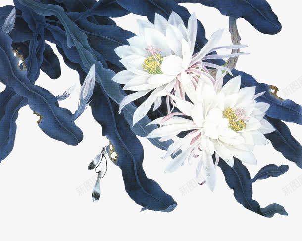 礼盒浮花png免抠素材_新图网 https://ixintu.com 礼盒浮花 素材 装饰