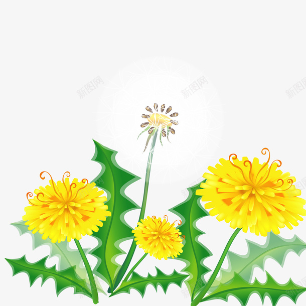 手绘蒲公英矢量图ai免抠素材_新图网 https://ixintu.com 手绘蒲公英 手绘蒲公英免费png下载 手绘蒲公英矢量图 矢量图