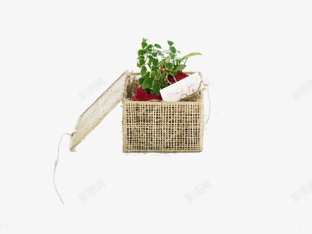 竹篓里的植物png免抠素材_新图网 https://ixintu.com 感谢卡 感谢状 手工工艺 竹篓 绿色植物