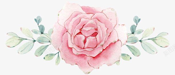 花手绘花插画玫瑰手绘玫瑰花png免抠素材_新图网 https://ixintu.com 手绘玫瑰 手绘花 插画 玫瑰 花