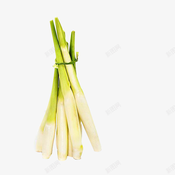 一扎茭白png免抠素材_新图网 https://ixintu.com 剥开的茭白 可食用 白绿色 茭白 茭白实物