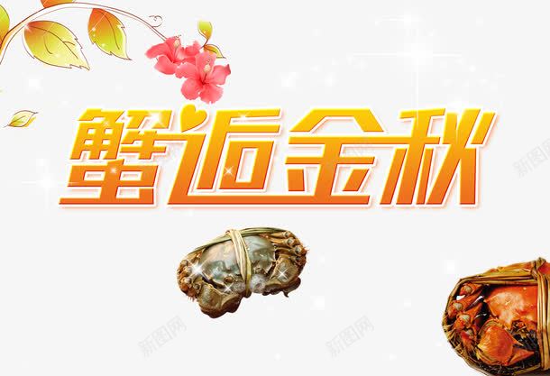 蟹逅金秋和大闸蟹psd免抠素材_新图网 https://ixintu.com 大闸蟹 艺术字 蟹逅金秋