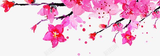 摄影手绘素描红色花png免抠素材_新图网 https://ixintu.com 摄影 素描 红色